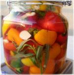 566040_10151279561910680_278825928_n