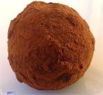 75067_10151331094885680_56629134_n