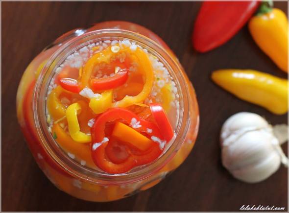 12606926_10153913563350680_602864829_n