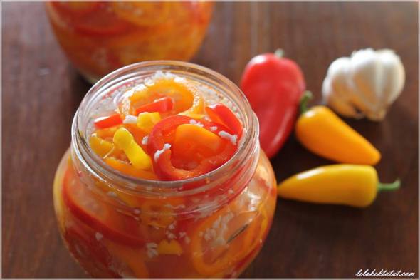 12625795_10153913563135680_2082648178_n